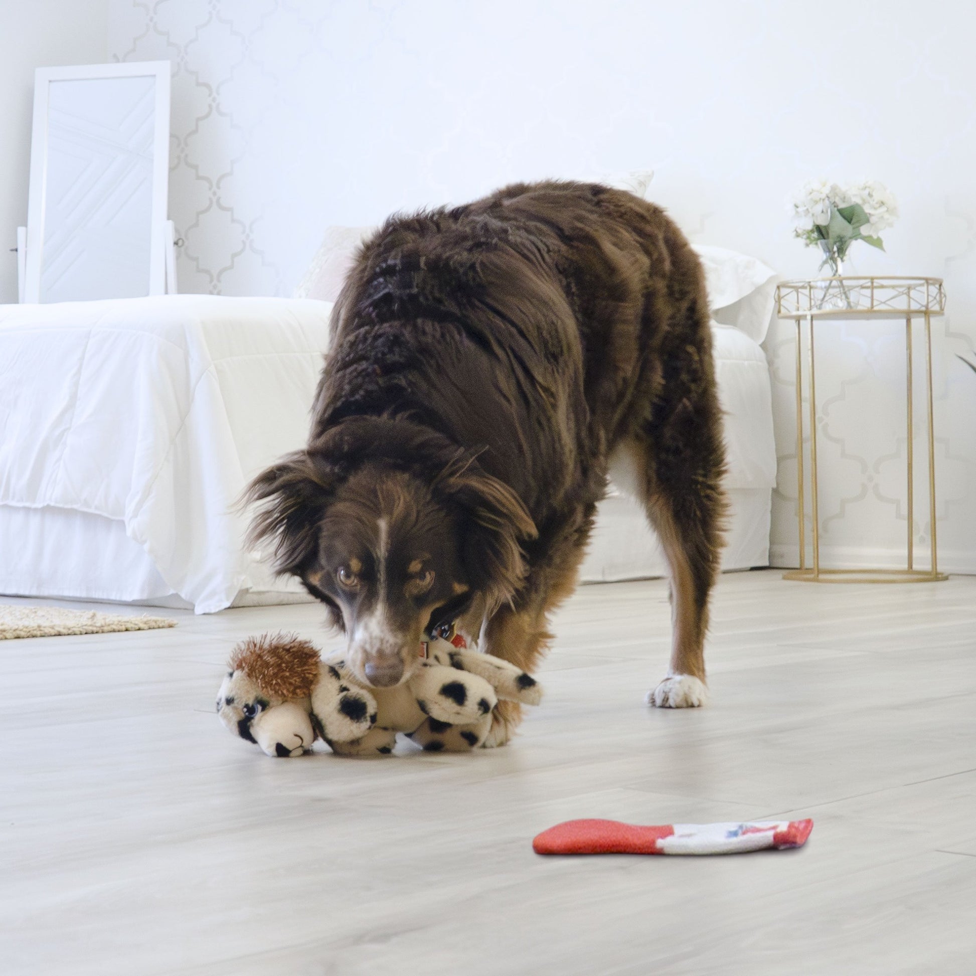 KONG COMFORT PUPS SPOT MEDIUM