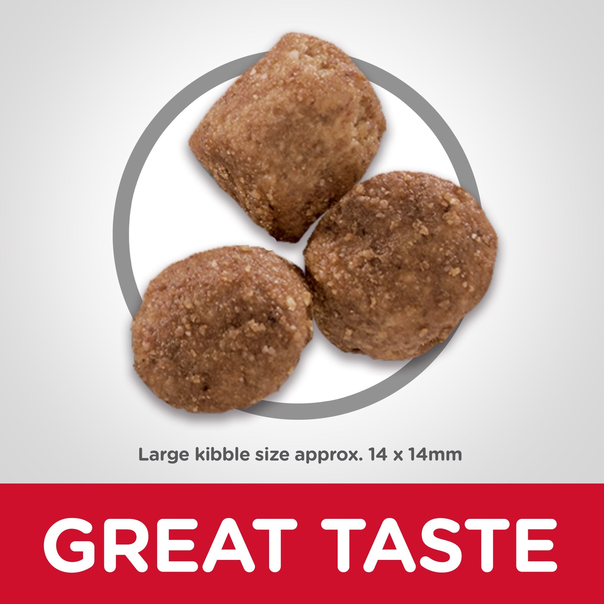 HILL'S SCIENCE DIET HEALTHY MOBILITY ADULT LARGE BREED DRY DOG FOOD 12KG