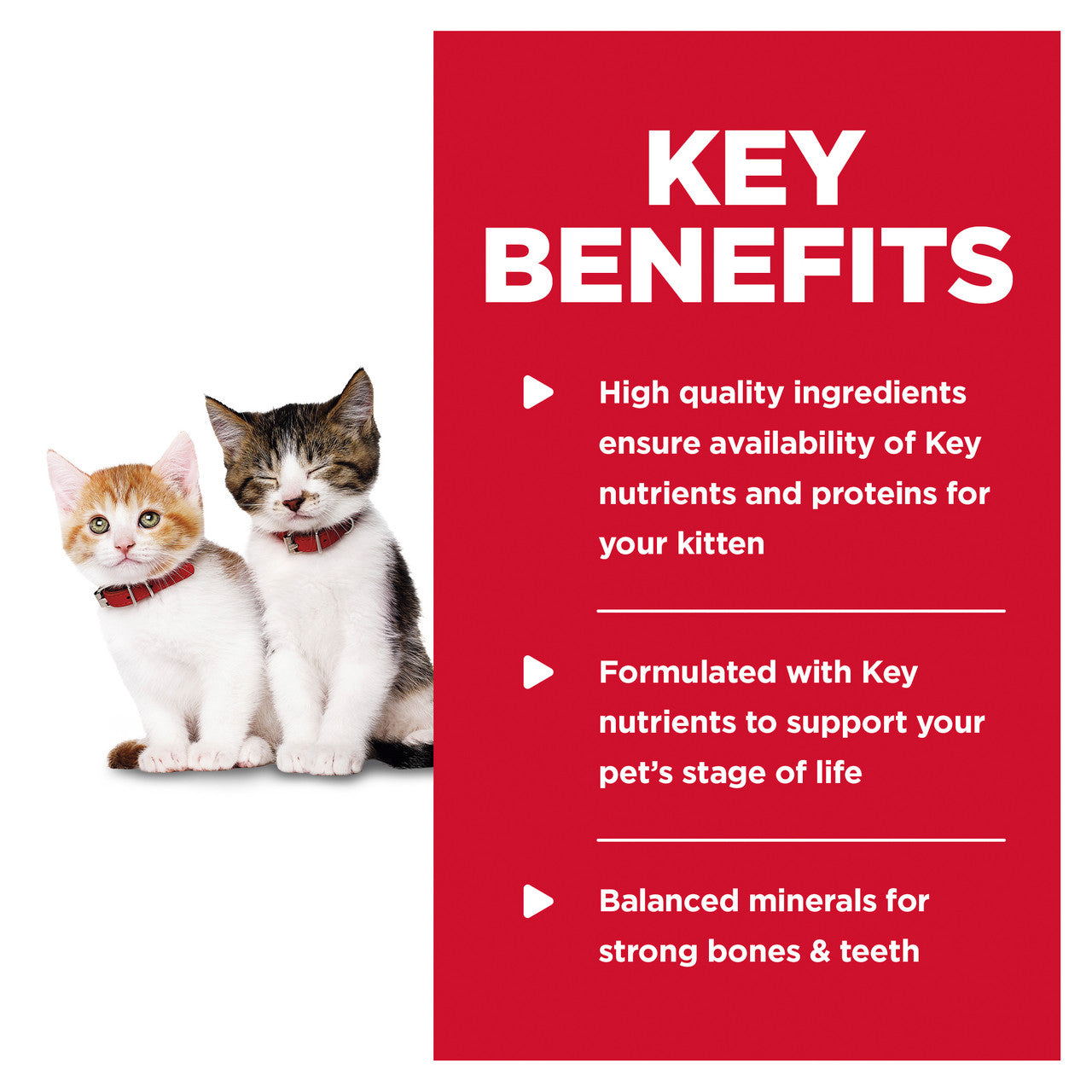 HILL'S SCIENCE DIET KITTEN TENDER CHICKEN 24X156G