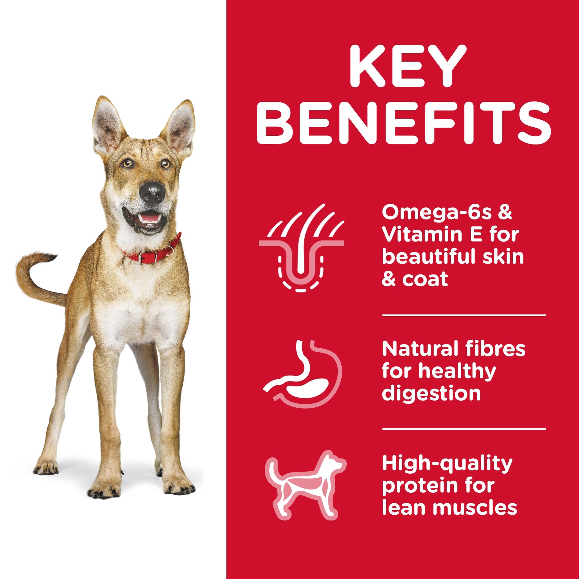 HILL'S SCIENCE DIET ADULT DRY DOG FOOD 3KG