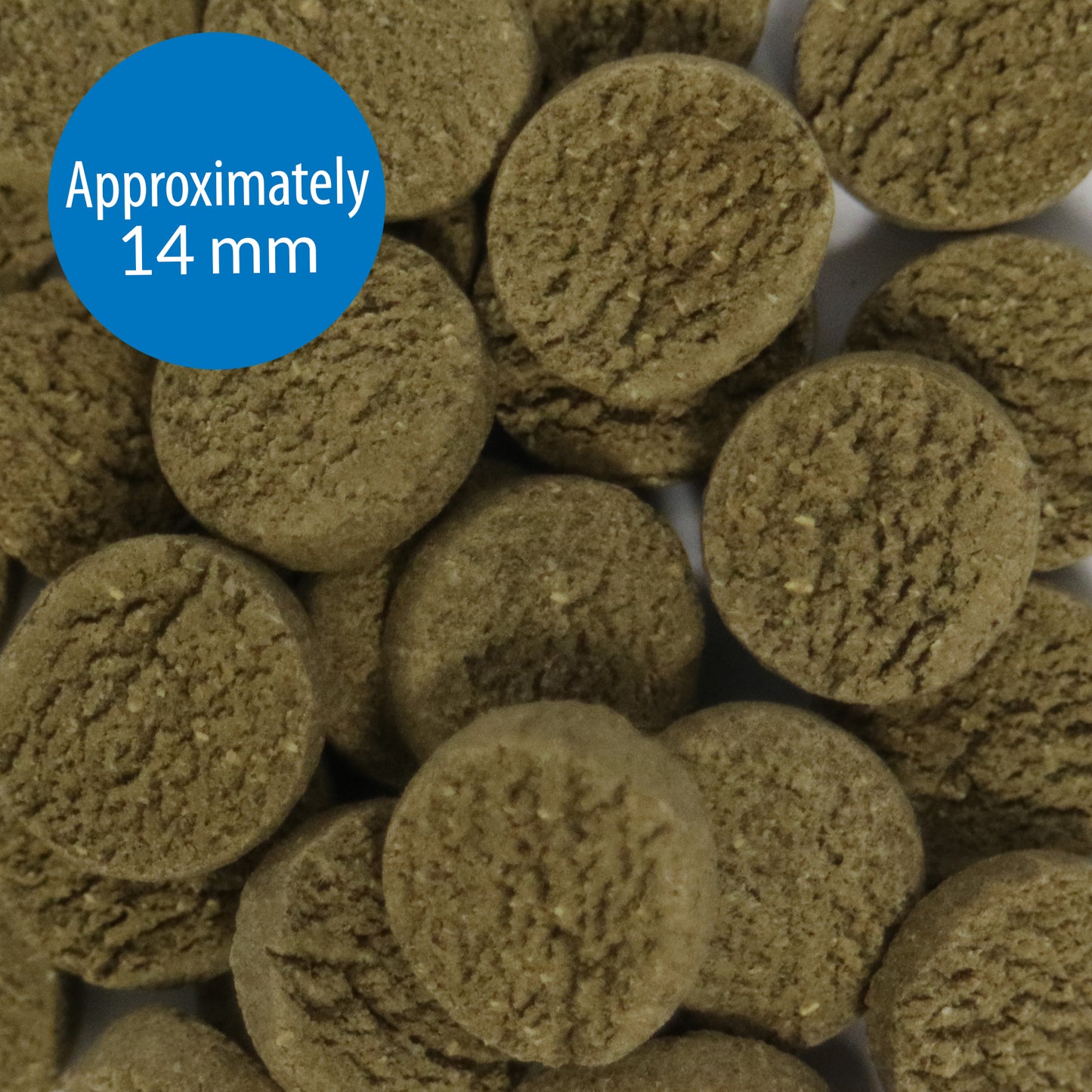 API ALGAE EATER WAFER 37G