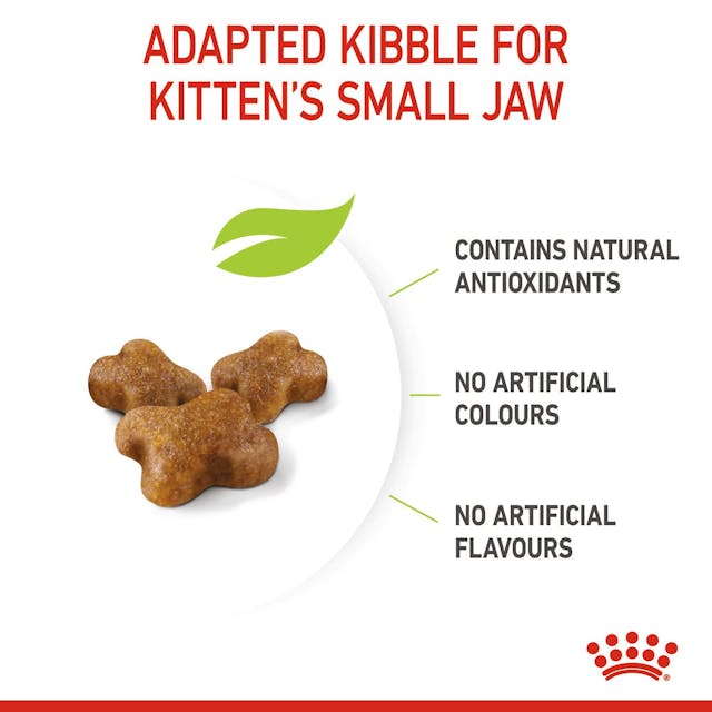ROYAL CANIN CAT KITTEN 2KG