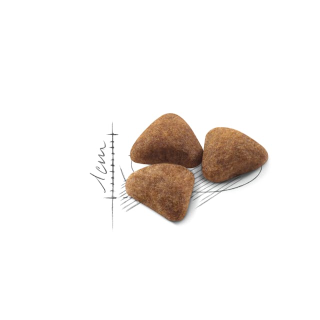 ROYAL CANIN CAT INDOOR 2KG