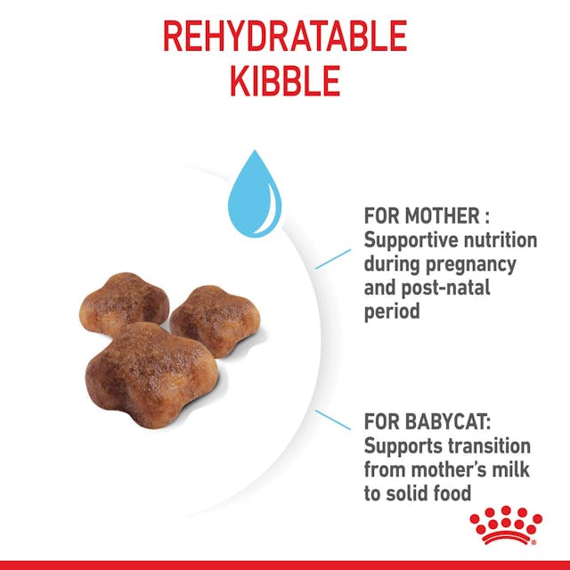 ROYAL CANIN CAT MOTHER & BABYCAT 400G