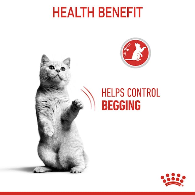 DISCONTINUED-ROYAL CANIN CAT APPETITE CONTROL 2KG