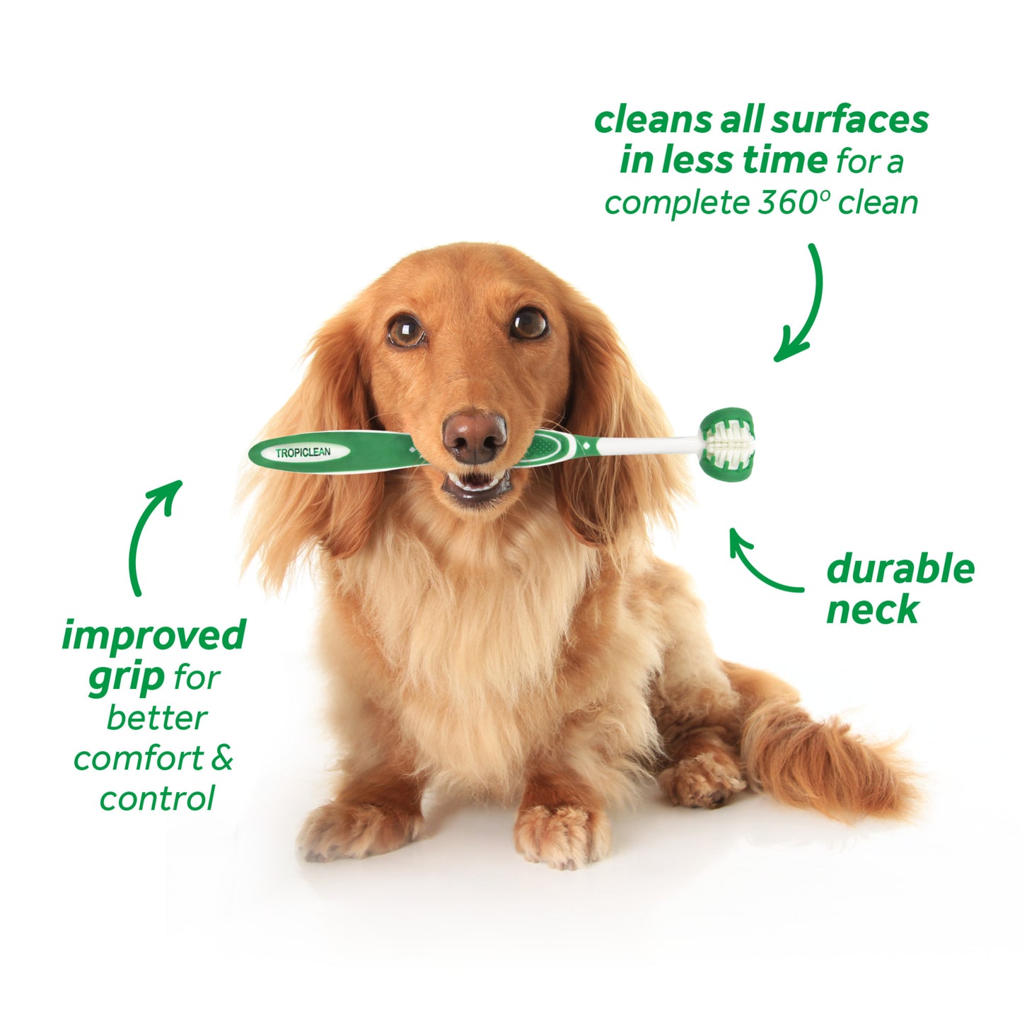 TROPICLEAN ORAL CARE KIT SM