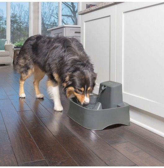 DRINKWELL® 7.5L PET FOUNTAIN