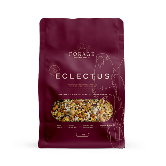 FORAGE ECLECTUS 1KG