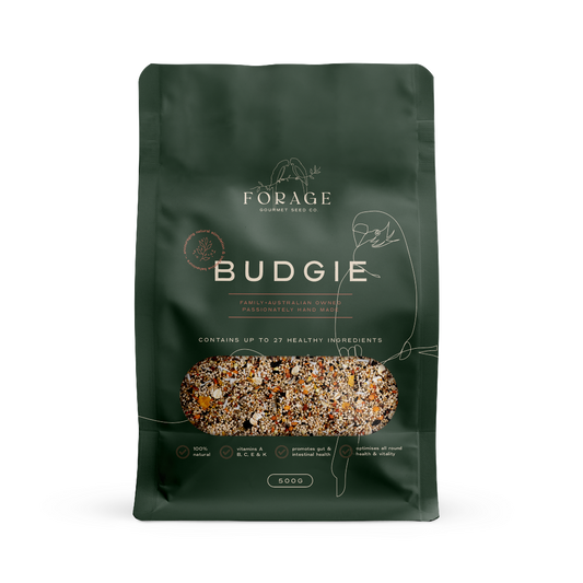 FORAGE BUDGIE 500G