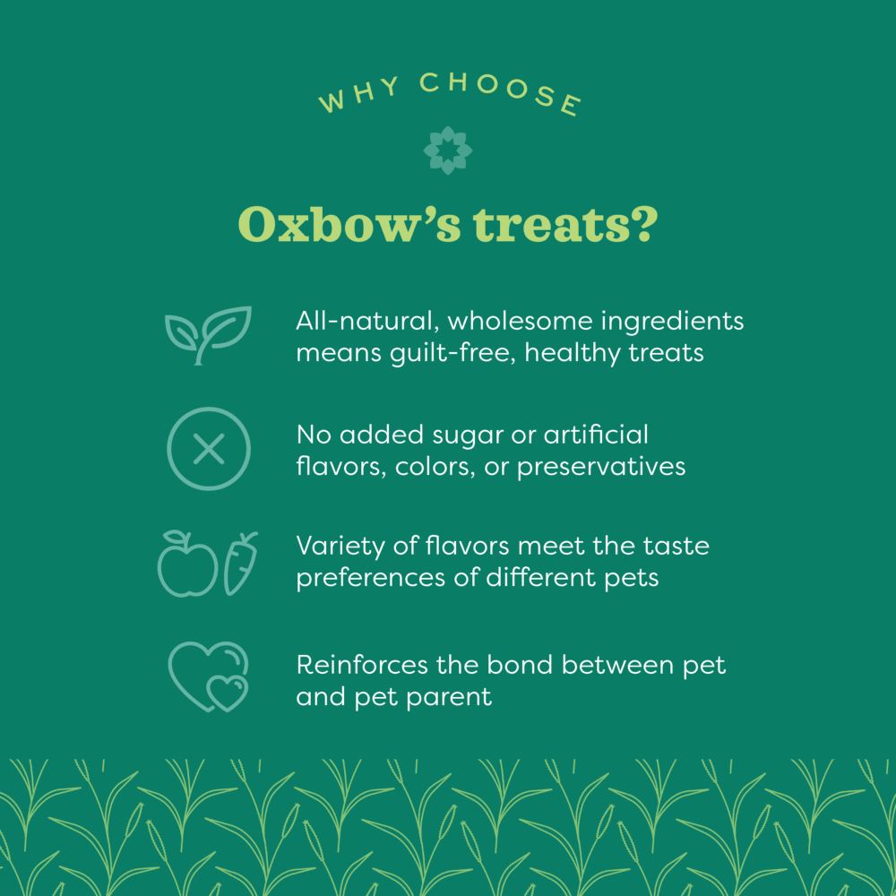 OXBOW REWARD APPLE BANANA TREAT