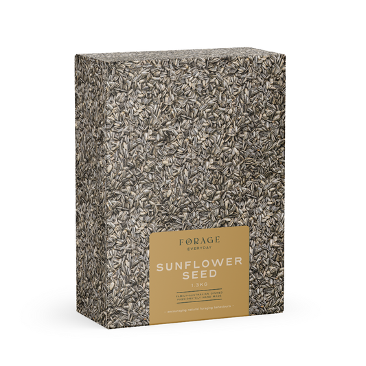 FORAGE EVERYDAY SUNFLOWER 1.3KG