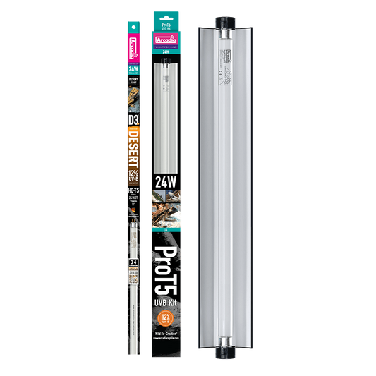 ARCADIA 24W PRO T5 UVB KIT 12%