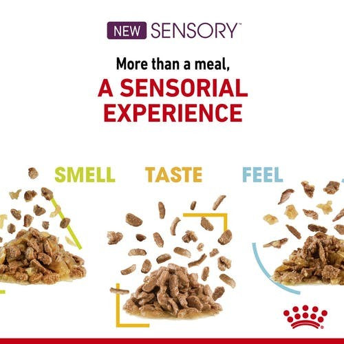 Pack of ROYAL CANIN CAT SENSORY TASTE GRAVY 85G X 12
