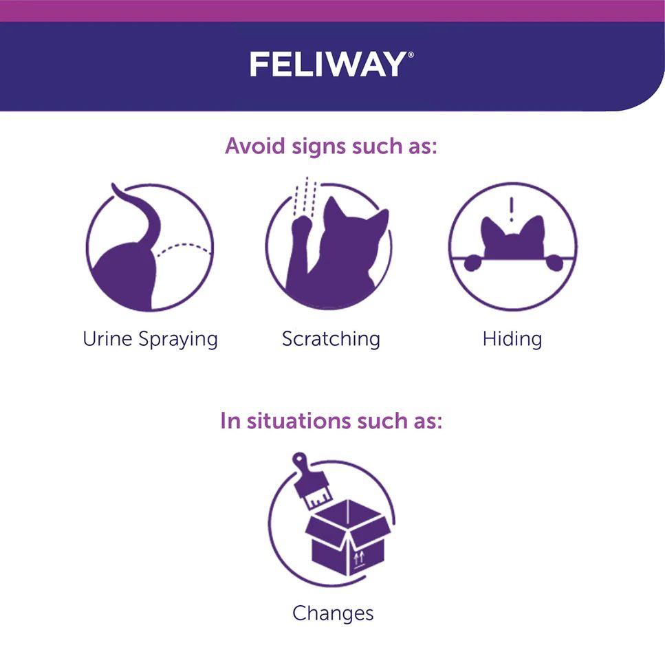 FELIWAY REFILL 48ML