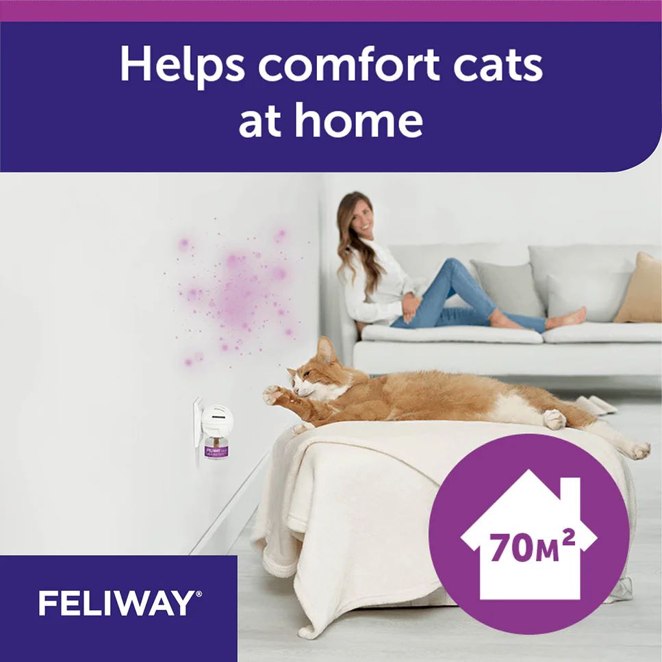 FELIWAY REFILL 48ML