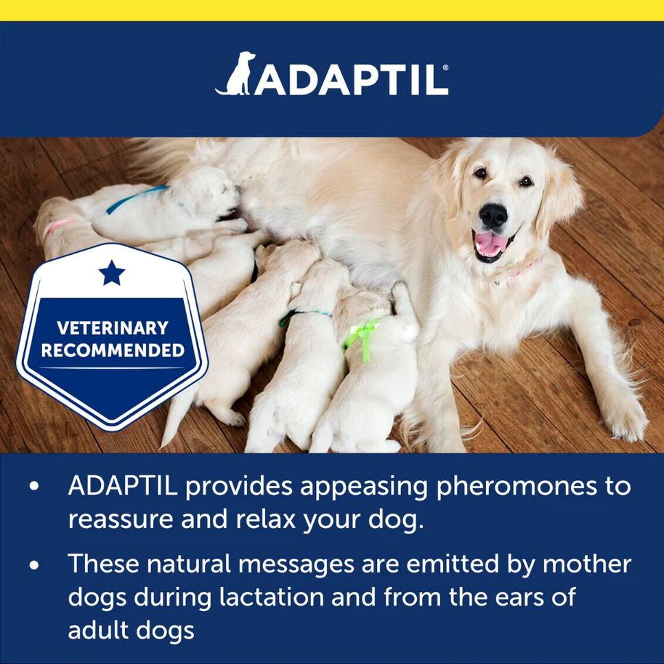 ADAPTIL TRANSPORT SPRAY 60ML