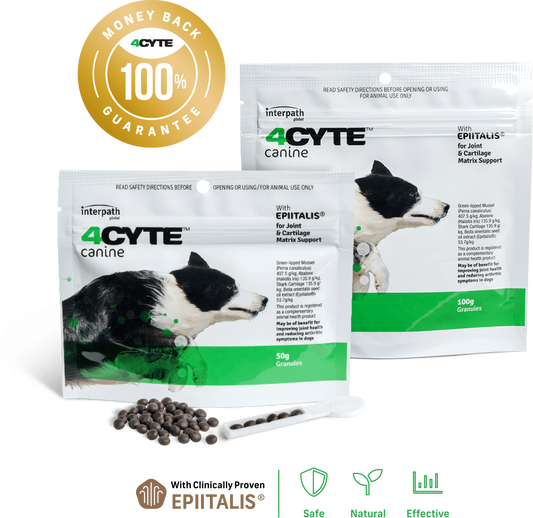 4CYTE ORAL JOINT SUPPLEMENT 50G