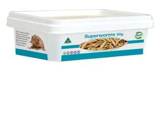 PISCES LIVE SUPERWORMS 50G TUB