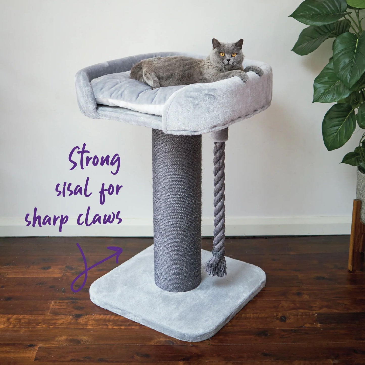 KAZOO BED SCRATCH POST ASH