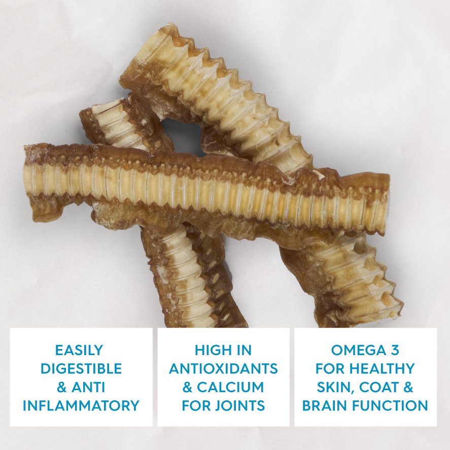 KAZOO PRIME CUTS SHARK CARTLIGE 100G