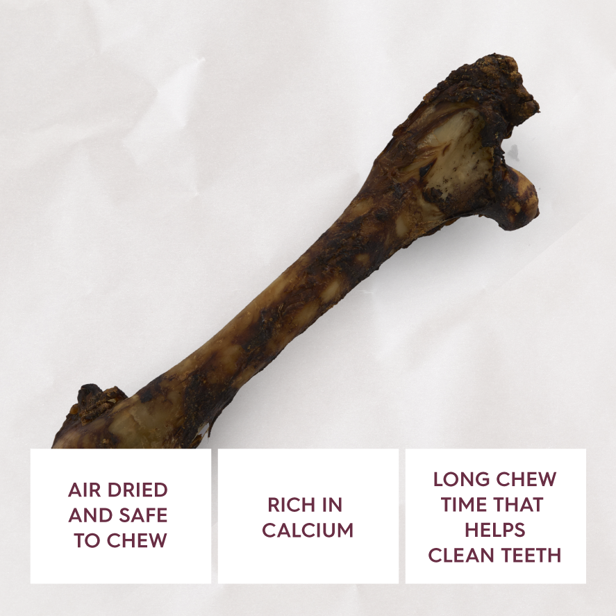 KAZOO PRIME CUTS KANGAROO SHIN BONE 1PC