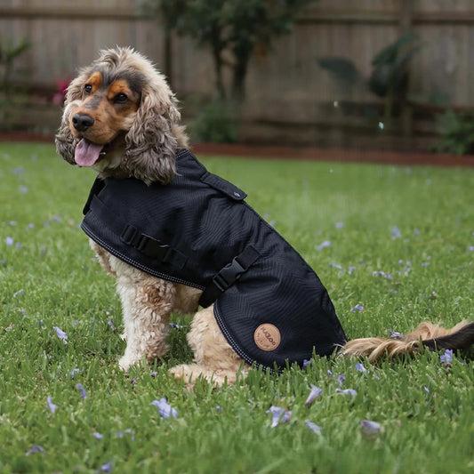 KAZOO ADVENTURE COAT W/HATCH 79CM BLACK