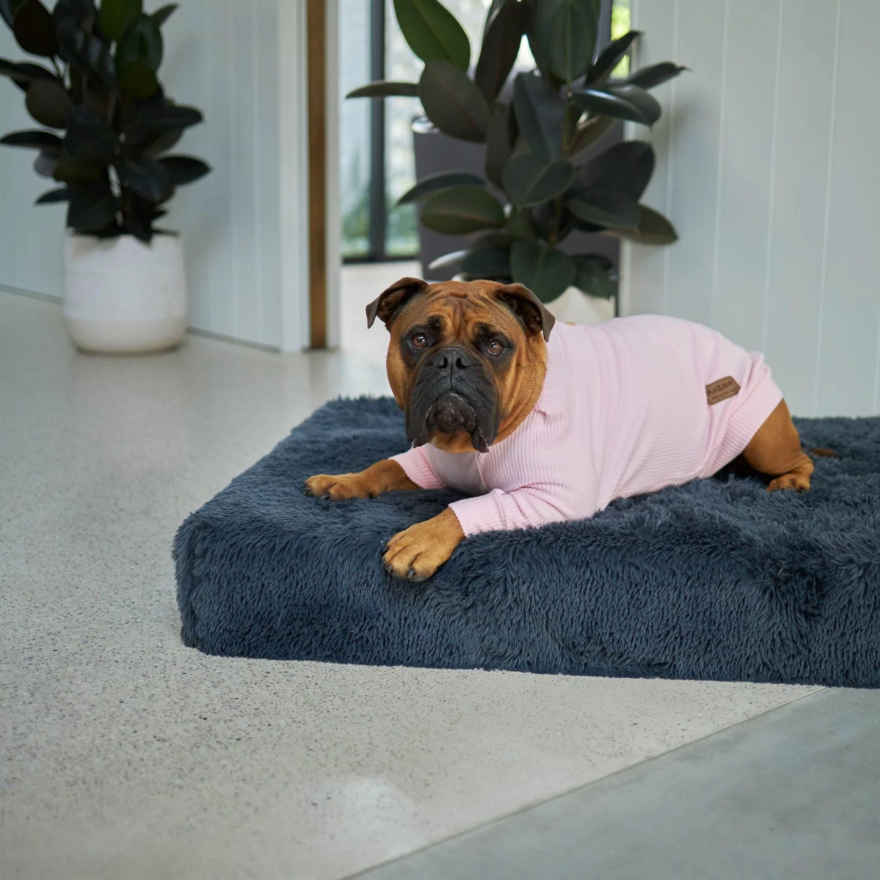KAZOO COAT POOCH PAJAMAS PINK 59