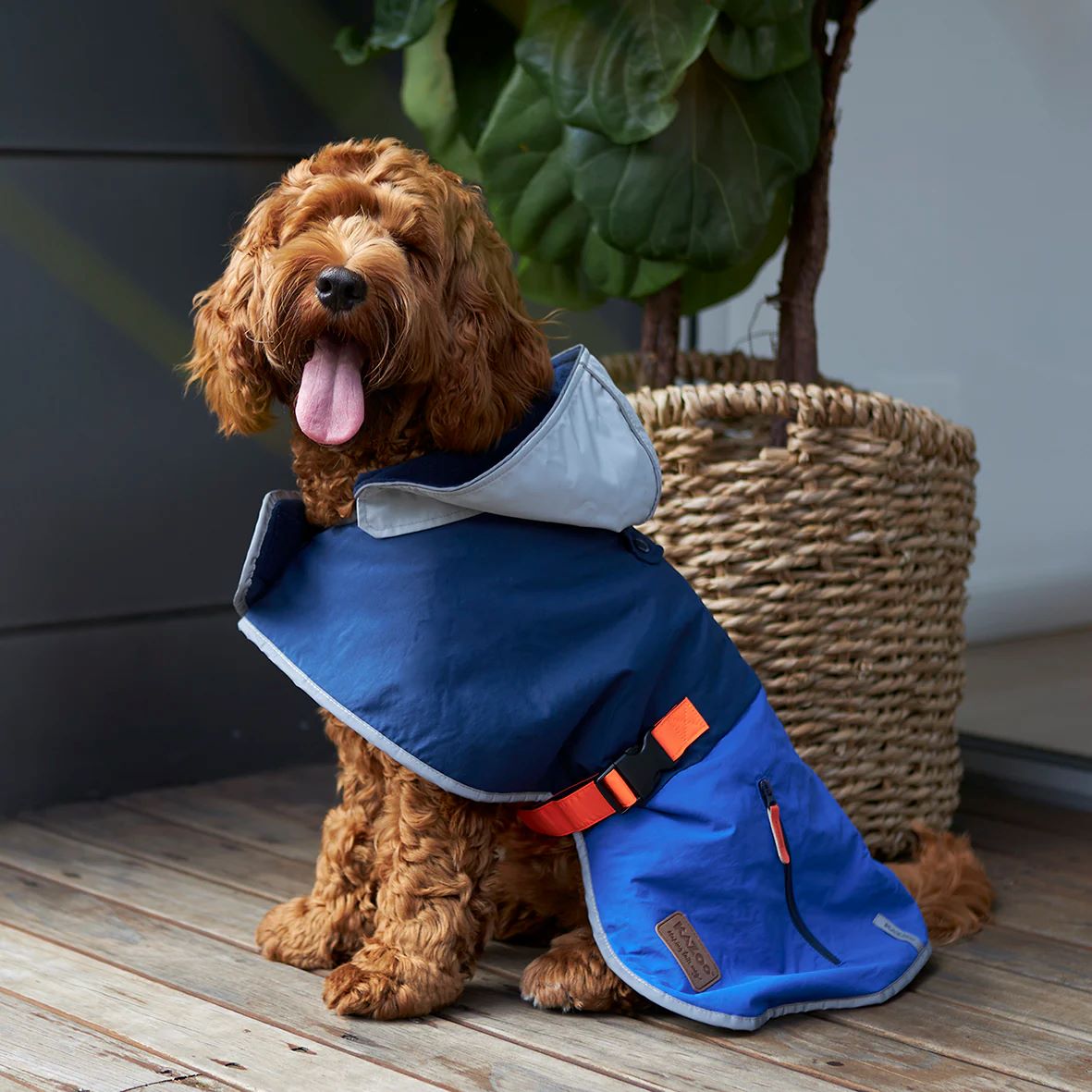 KAZOO COAT COSY RAINCOAT BLUE ZEST 40