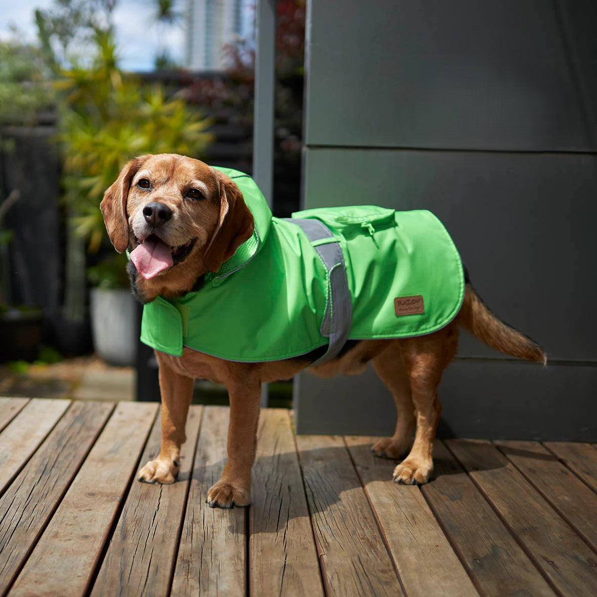 KAZOO COAT RAINY DAYS NEON GREEN 53