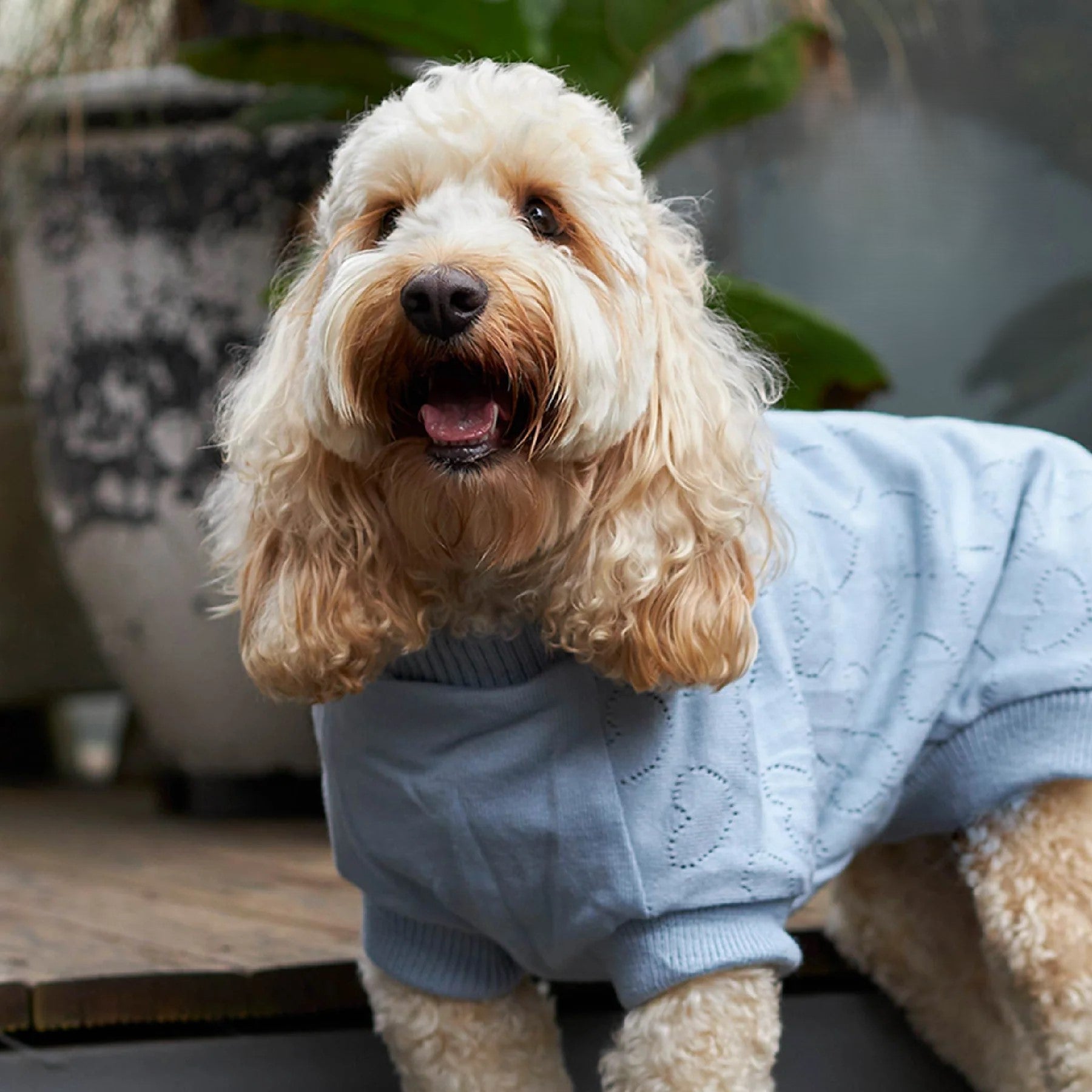 KAZOO COAT KNIT HEART 40CM BLUE