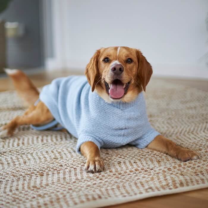 KAZOO COAT PLUSH POLO BLUE 53