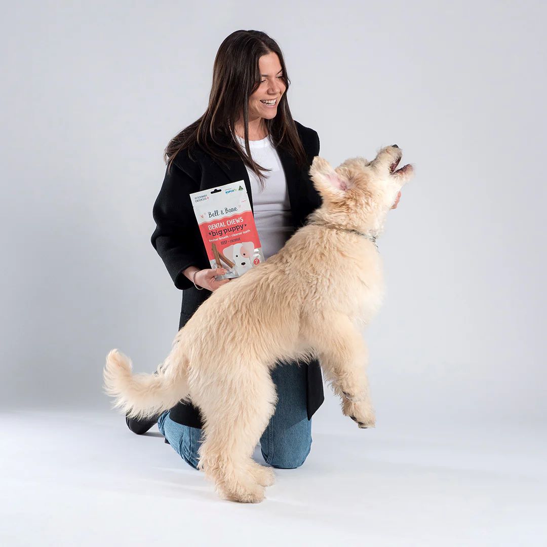 BELL & BONE DENTAL CHEW BIG PUPPY BEEF