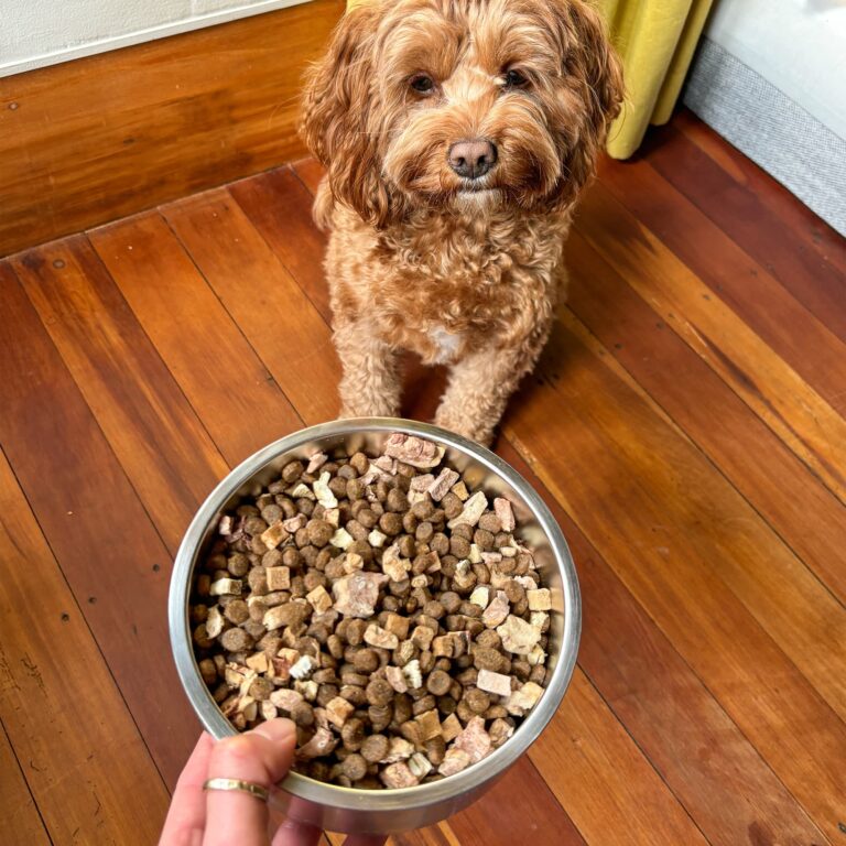 ANIMALS LIKE US RAW MIX LAMB 340G