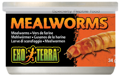 EXO TERRA MEALWORMS 34G