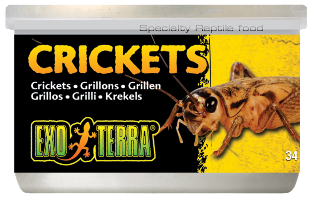 EXO TERRA CRICKETS SMALL 34G