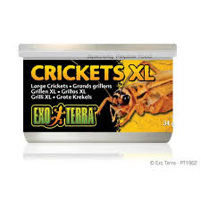 EXO TERRA CRICKETS XL 34G