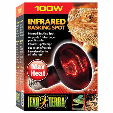 EXO TERRA INFRARED HEAT GLO 100W