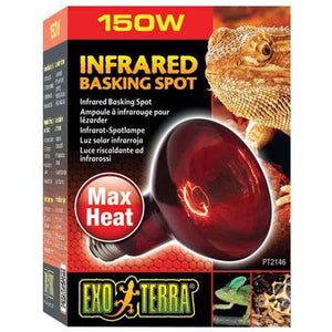 EXO TERRA INFRARED HEAT GLO 150W