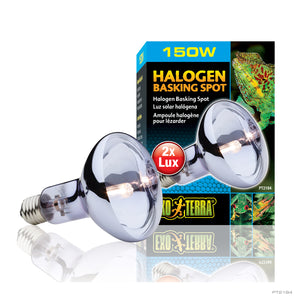 EXO TERRA SUN GLO HALOGEN 150W