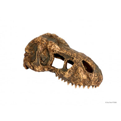 EXO TERRA T-REX SKULL