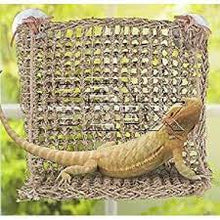 Load image into Gallery viewer, LIZARD LOUNGERS WINDOW HAMMOCK