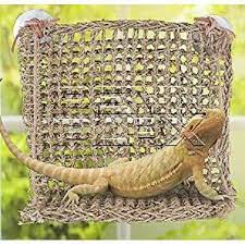 LIZARD LOUNGERS WINDOW HAMMOCK