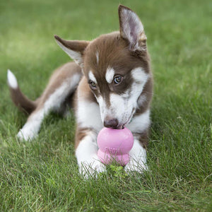 KONG TREAT PUP TREAT PASTE