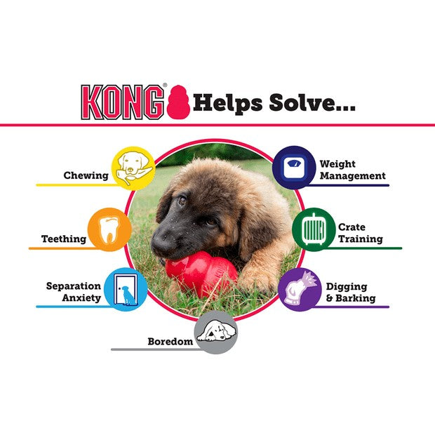 KONG PUPPY - MEDIUM