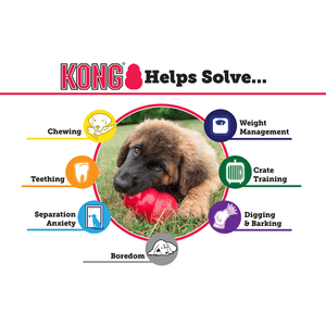 KONG PUPPY - SMALL