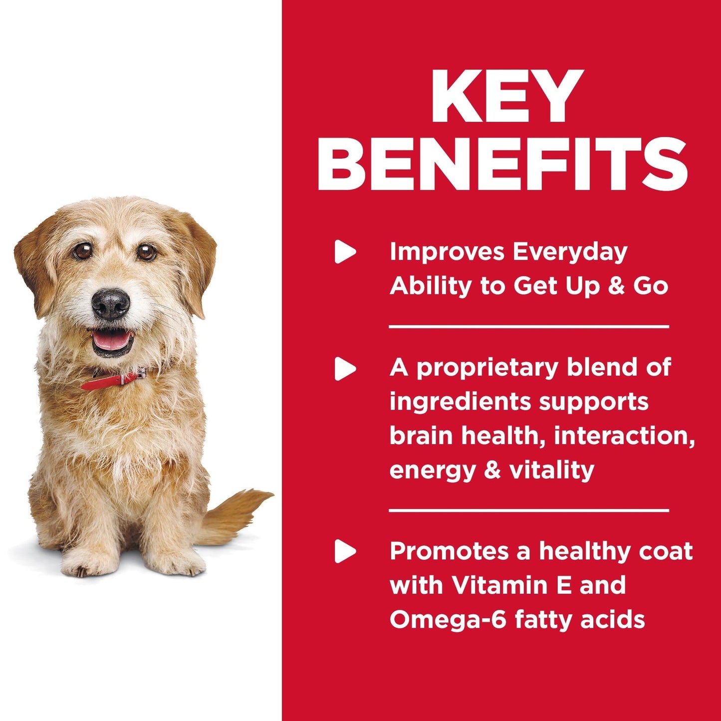 HILL'S SCIENCE DIET ADULT  7+ SENIOR VITALITY SMALL & MINI  SENIOR DRY DOG FOOD 1.58KG