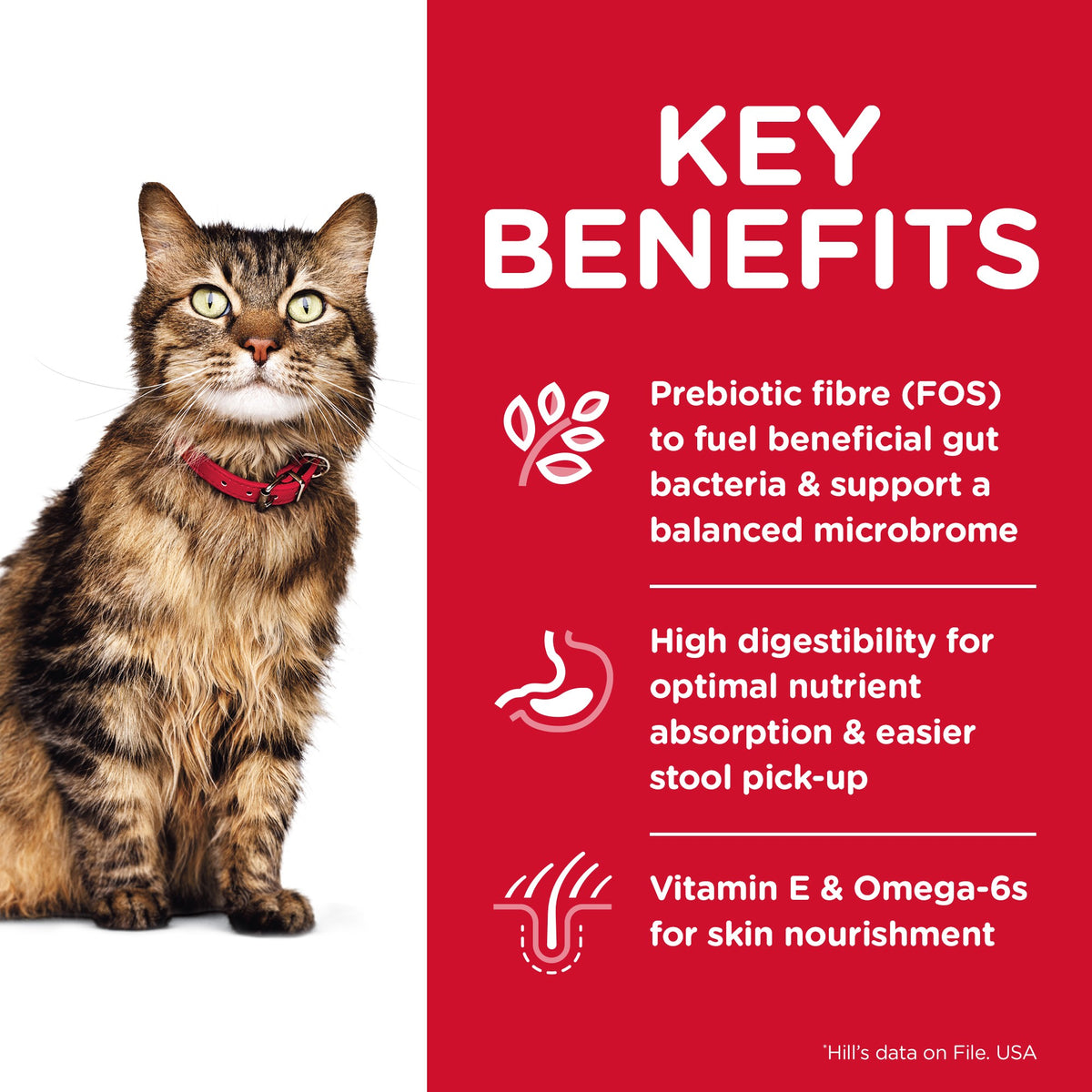 HILL'S SCIENCE DIET SENSITIVE STOMACH & SKIN ADULT DRY CAT FOOD 1.6KG
