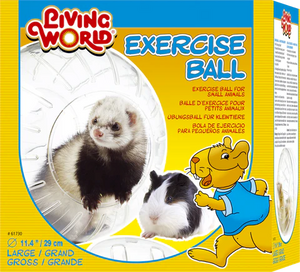 LIVING WORLD EXERCISE BALL - LARGE (29CM) - RATS