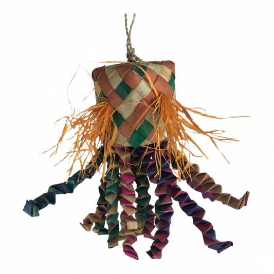 NINO'S JAVA OCTOPUS SML