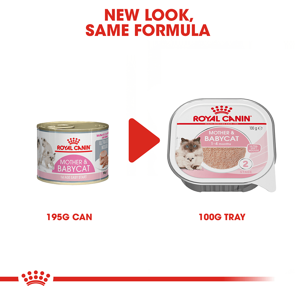 Pack of ROYAL CANIN CAT MOTHER & BABYCAT 100G X 24